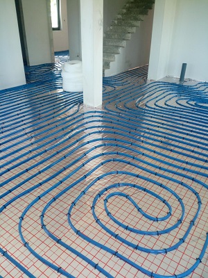 blueflorlublin